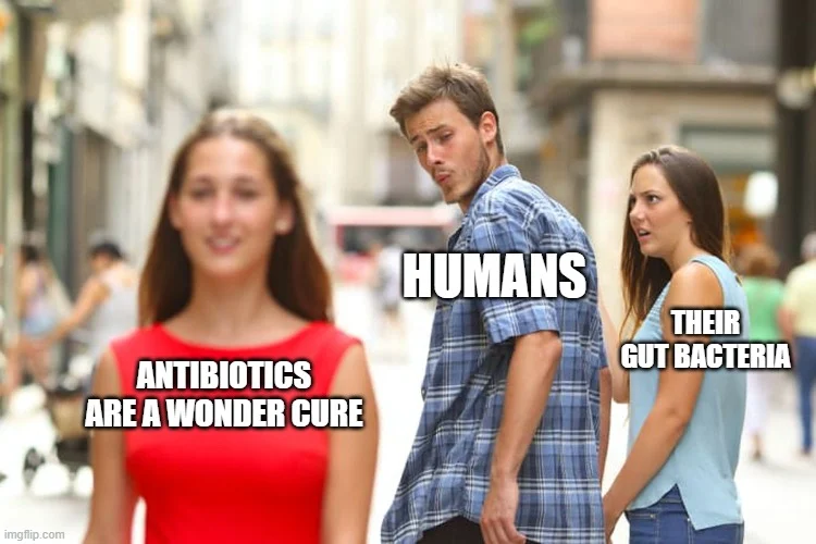 A gut-recovery protocol to protect your microbiome during antibiotics.